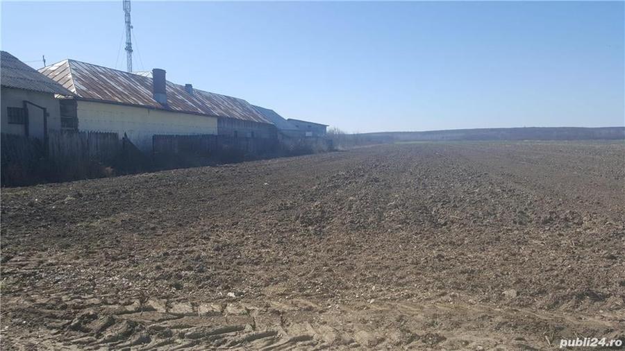 Teren de 7444 mp, în Dărmănești
