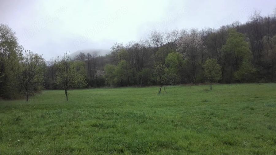 Teren de 2798 mp, în Sârbi