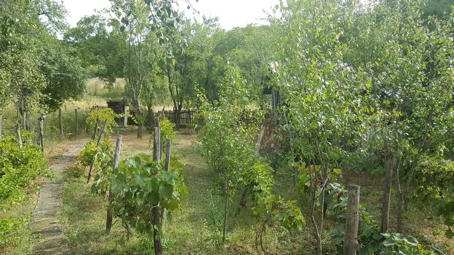 Casă cu 5 camere cu Teren 3200 Mp în Stângăceaua