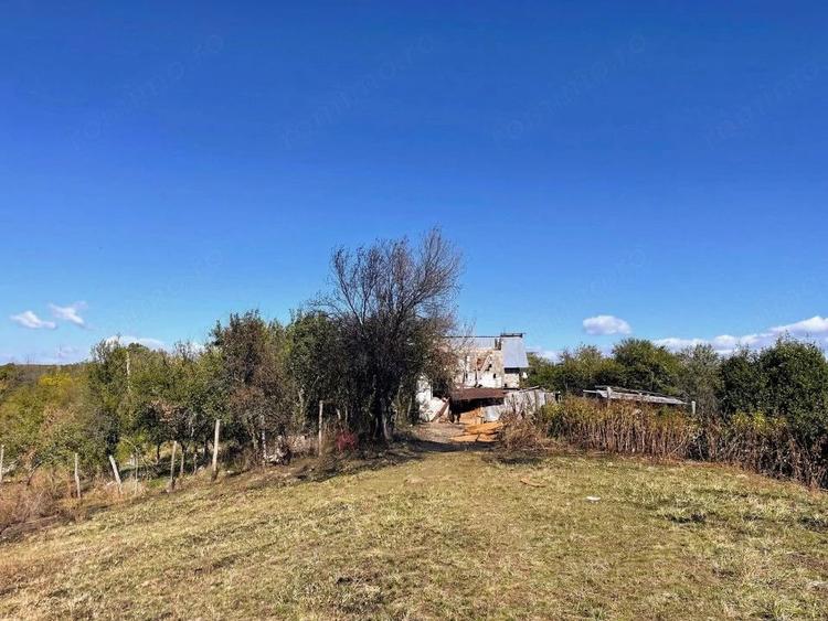 Teren de 5000 mp, în Băbana