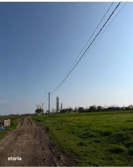 Teren de 1688 mp, în Grivița