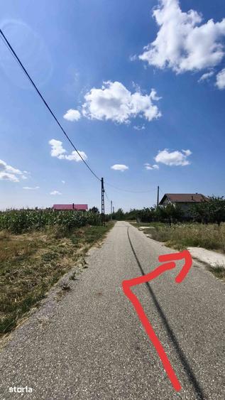 Teren de 9177 mp, în Dănicei