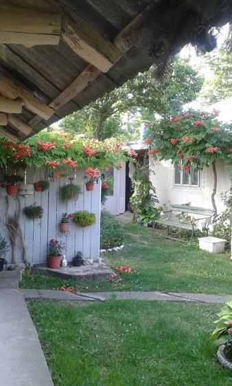 Casă cu 4 camere în Tătărășeni