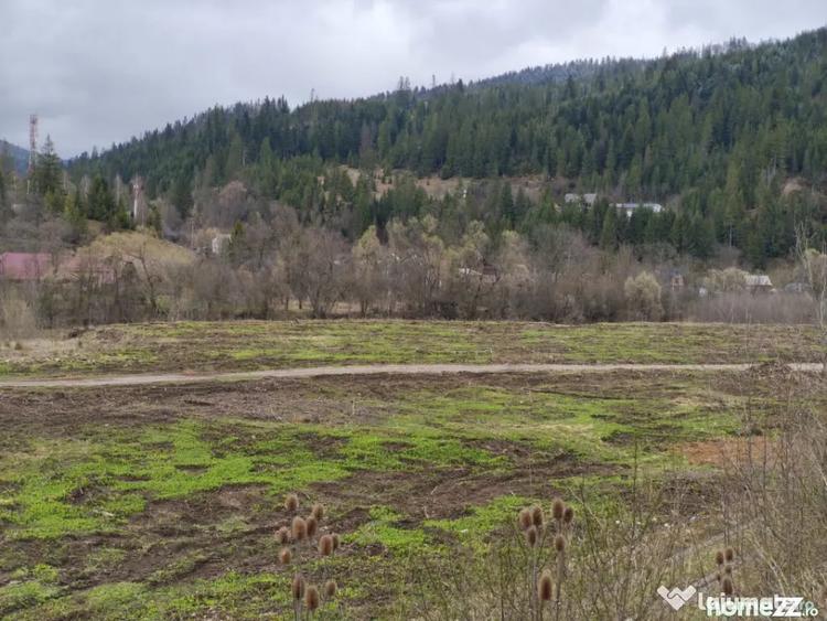 Teren de 22600 mp, în Sucevița