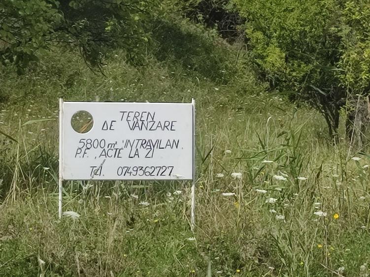 Spațiu comercial, în Borhanci