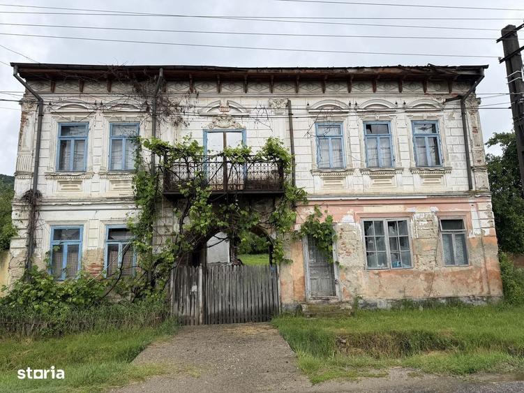 Casa Davidesti, la strada principala - 8