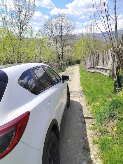 Teren de 959 mp, în Valea Doftanei