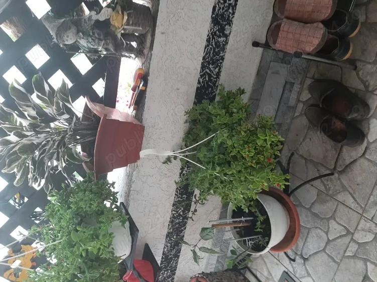Casă cu 5 camere în Sânnicolau Mare