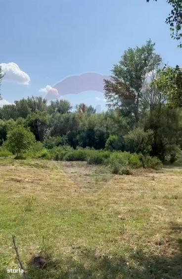 Spațiu comercial, în Găneasa