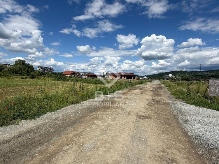 Teren Construcții intravilan de 6855 mp, în Sud