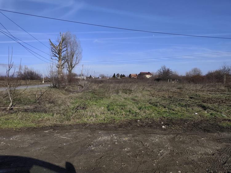 Teren Construcții intravilan de 1106 mp, în Săbăreni