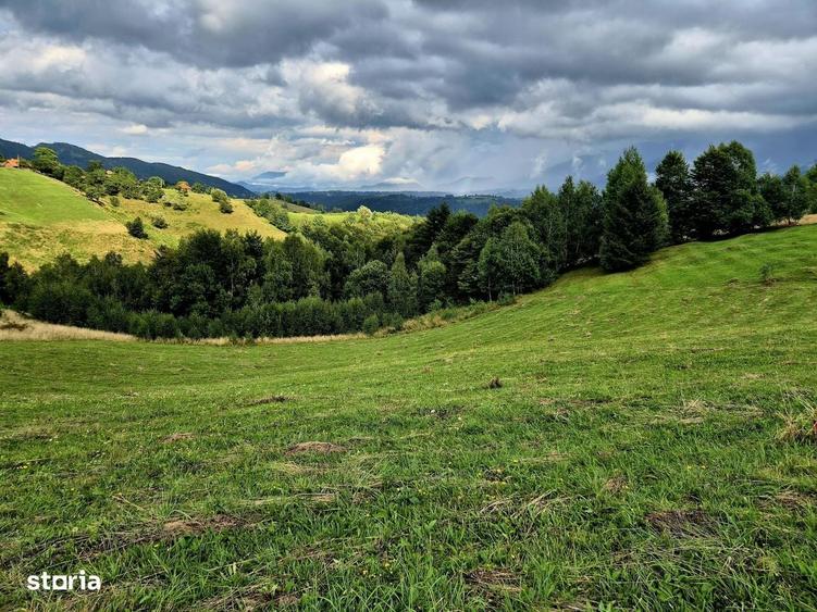 Teren Extravilan De Vanzare Pestera, Moeciu- Investitie Cu Potential - 1