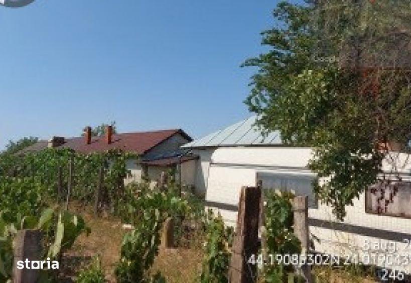 Teren de 830 mp, în Recea