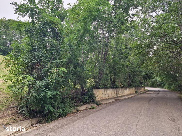 Teren de 2600 mp, în Sud