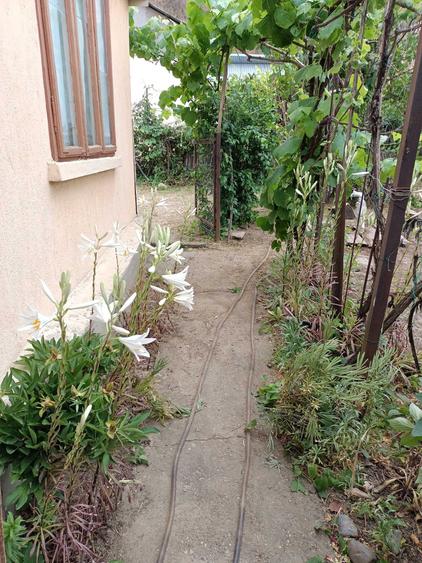 Casă cu 3 camere în Cosmești
