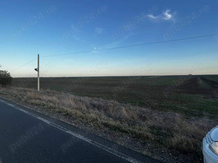 Teren de 20000 mp, în Orțișoara