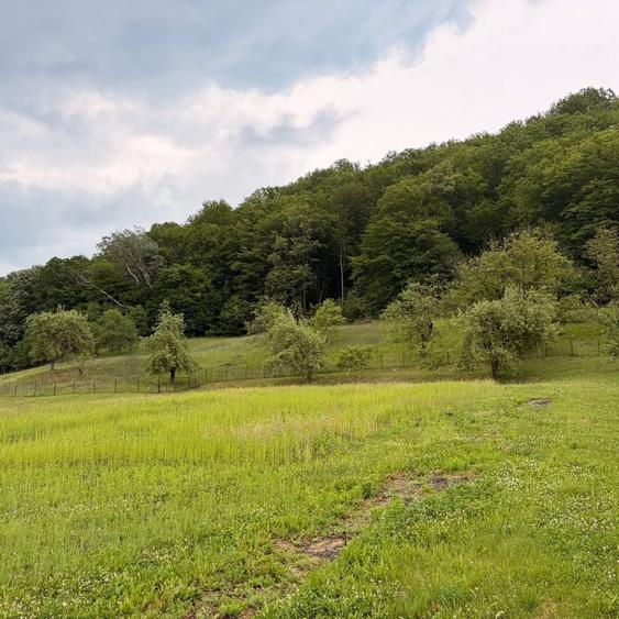 Casă cu 2 camere în Ileanda
