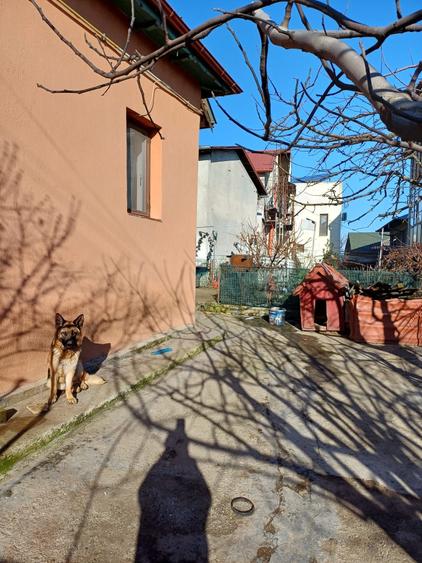 Casă cu 4 camere cu Teren 400 Mp în Exterior Vest