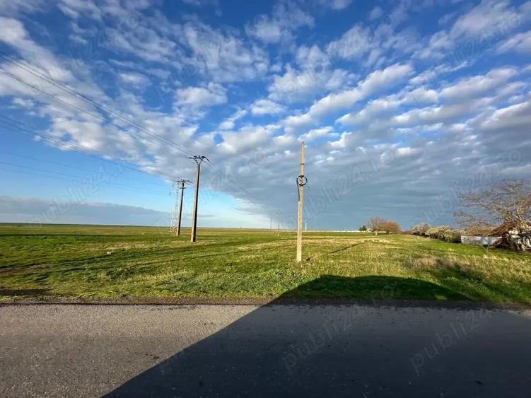 Teren de 200000 mp, în Călacea