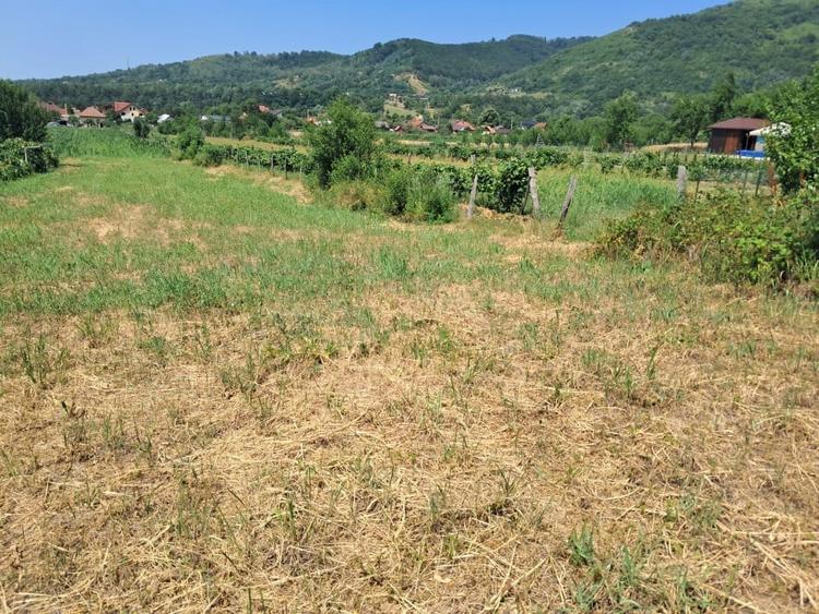 Teren Construcții intravilan de 1300 mp, în Polovragi