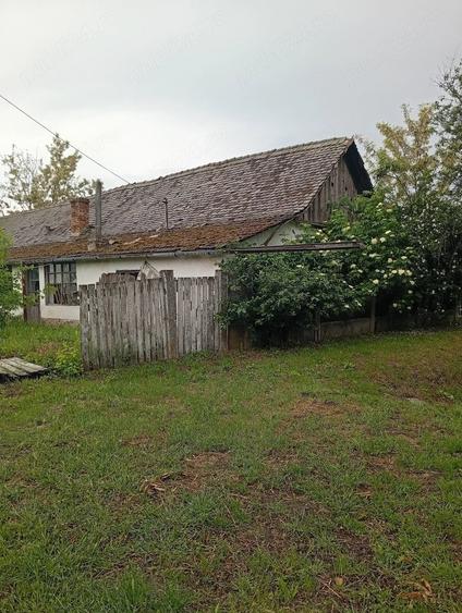 Casa ungaria Magyardombegyhaza - 5