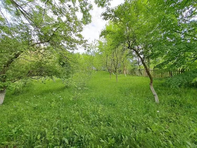 Teren de 1000 mp, în Ghioșești