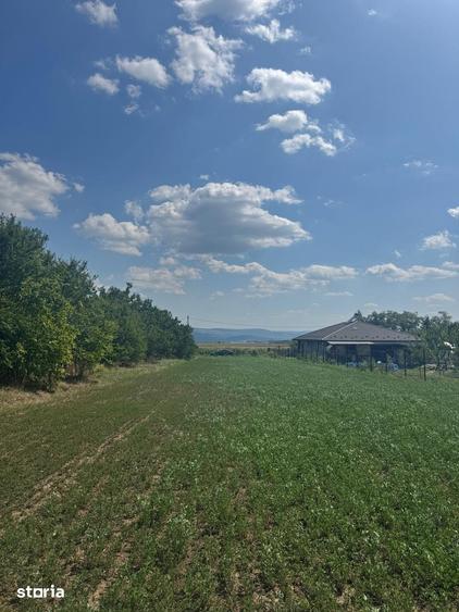 Teren de 3000 mp, în Aroneanu