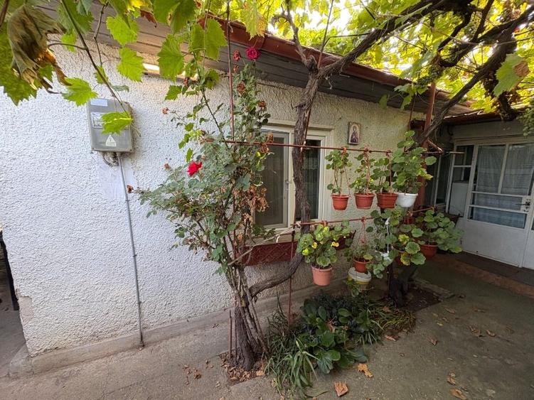 Teren Construcții intravilan de 680 mp, în Palazu Mare