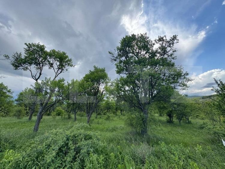 Teren agricol extravilan de 5305 mp, în Periferie