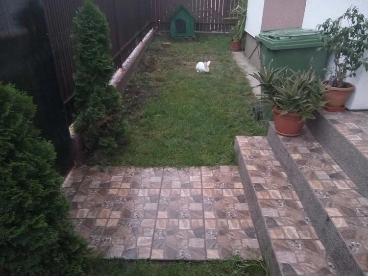 Casă cu Teren 250 Mp în Central