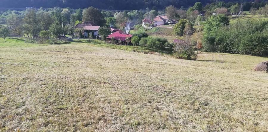 Teren de 7000 mp, în Negreni
