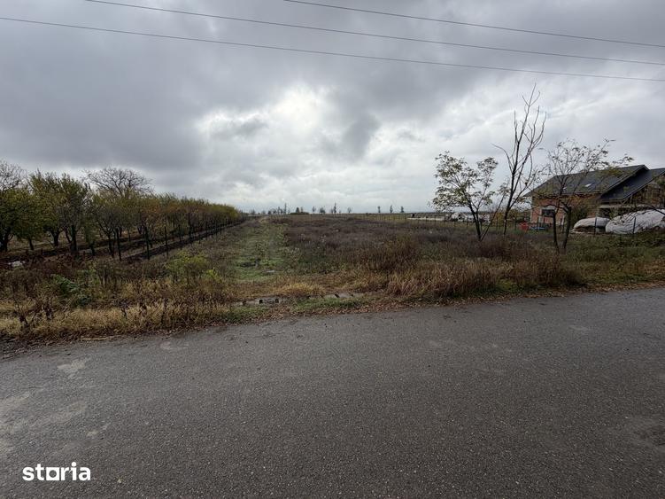 Teren de 7000 mp, în Filipeștii de Târg