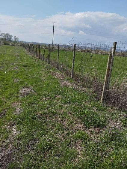 Teren de vanzare: situat pe Calea Craiovei catre Bistrita cu o suprafata de 5000 mp - 8
