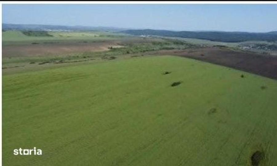 Teren de 4300 mp, în Bălteni