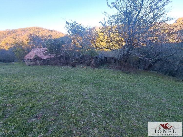Casă individuală cu 2 camere cu Teren 17399 Mp în Valea Vințului