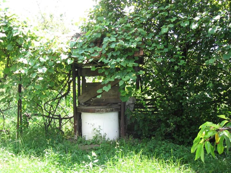 Casă individuală cu 3 camere cu Teren 6731 Mp în Țițești