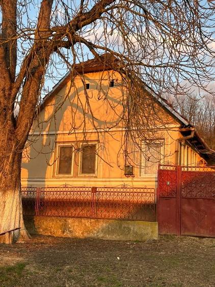 Casă cu 3 camere în Central