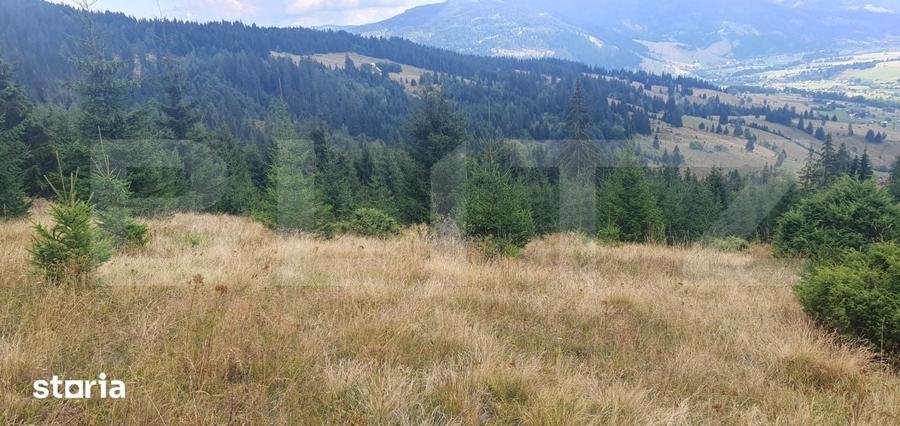Teren extravilan de vanazre, 42.152 mp, zona Saru Dornei - 7