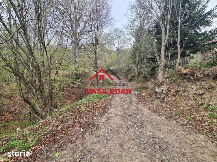 Teren de 1000 mp, în Valea Doftanei