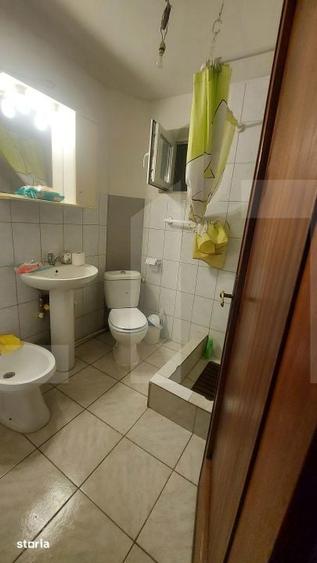 Casa cu teren de 8.570 mp cu iaz si livada I Bacel - 12