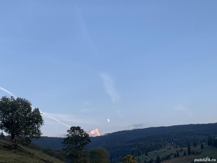 Teren de 7837 mp, în Dorna-Arini