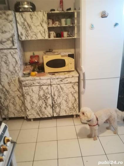 Apartament cu 3 camere decomandat în Rogerius