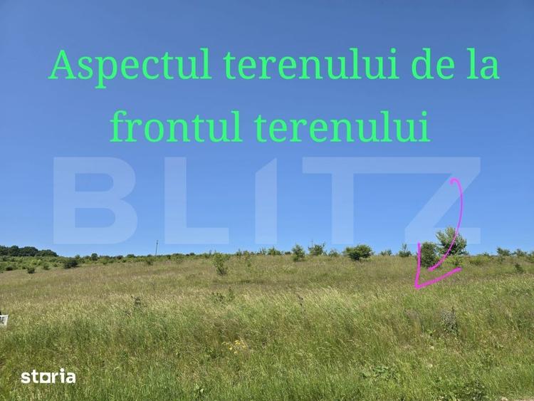 Teren de 1200 mp, în Ciurila