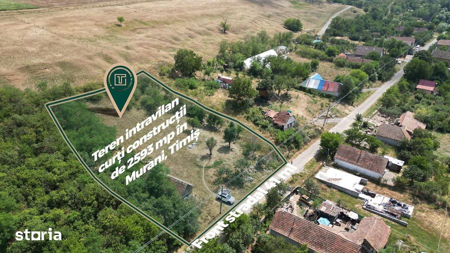 Teren de 2593 mp, în Pișchia