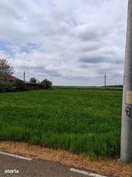 Teren de 1000 mp, în Central