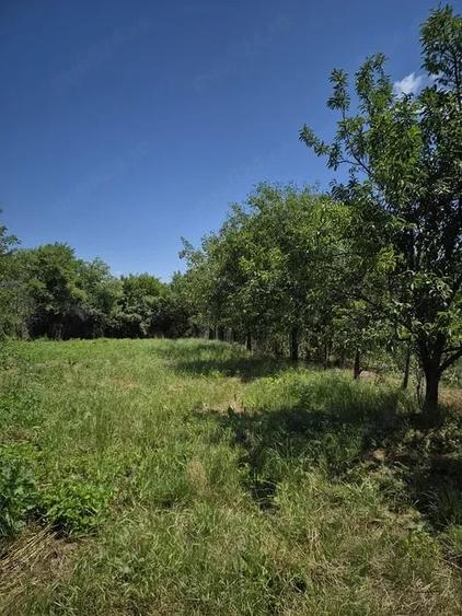 Casă cu 4 camere cu Teren 3646 Mp în Meieni