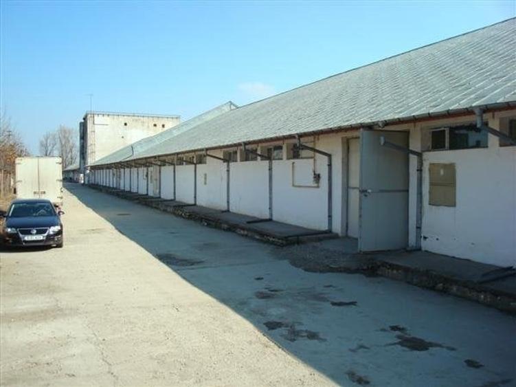 Teren Construcții intravilan de 39000 mp, în Giurgiului