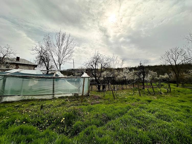 Casă cu Teren 2470 Mp în Mârțești