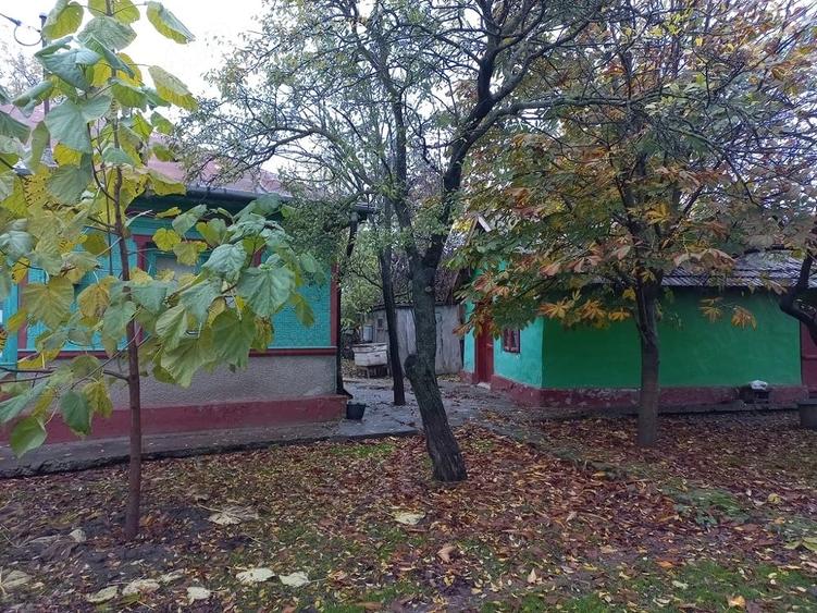 Casă cu Teren 1200 Mp în Scânteia