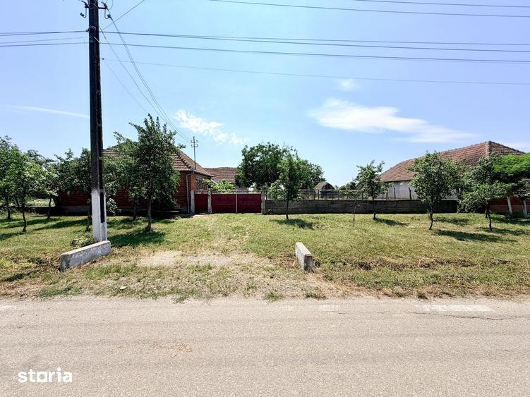 Casă cu 3 camere cu Teren 2880 Mp în Șagu